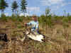Pines06SophieFirstShed.jpg (155914 bytes)