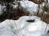 PotterMooseFresh7pt.jpg (136396 bytes)