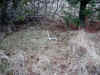 Sheds2007DeerPBBigOld.jpg (221811 bytes)