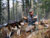 ShedsDeer06BigMatchLena.jpg (786426 bytes)